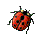 WB01292_