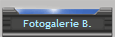 Fotogalerie B.