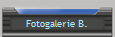 Fotogalerie B.