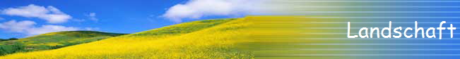Landschaft