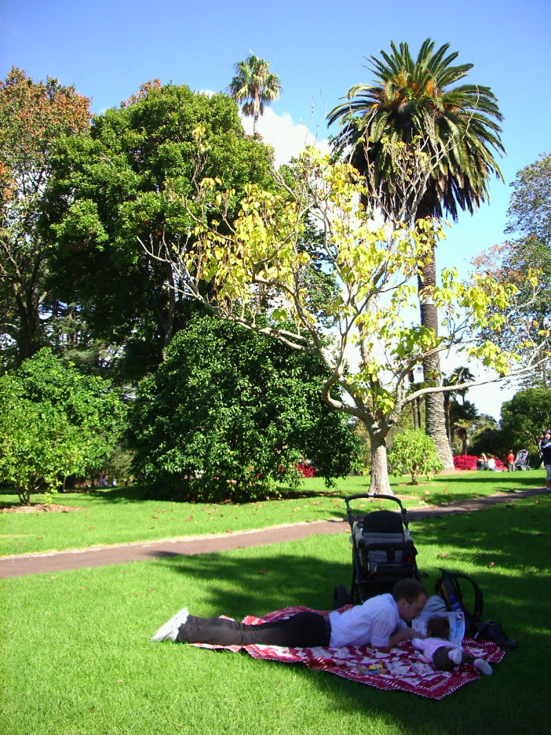 Der Albert Park