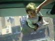 Vivien, Sky Tower
