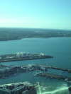 Viaduct Harbour