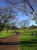 Cornwell Park 