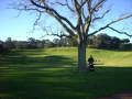 Cornwell Park