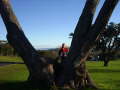 Cornwell Park