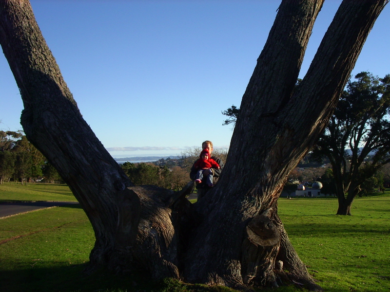 Cornwell Park