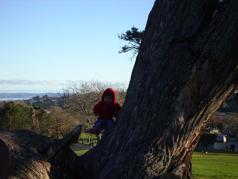 Cornwall Park 