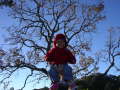 Cornwall Park 