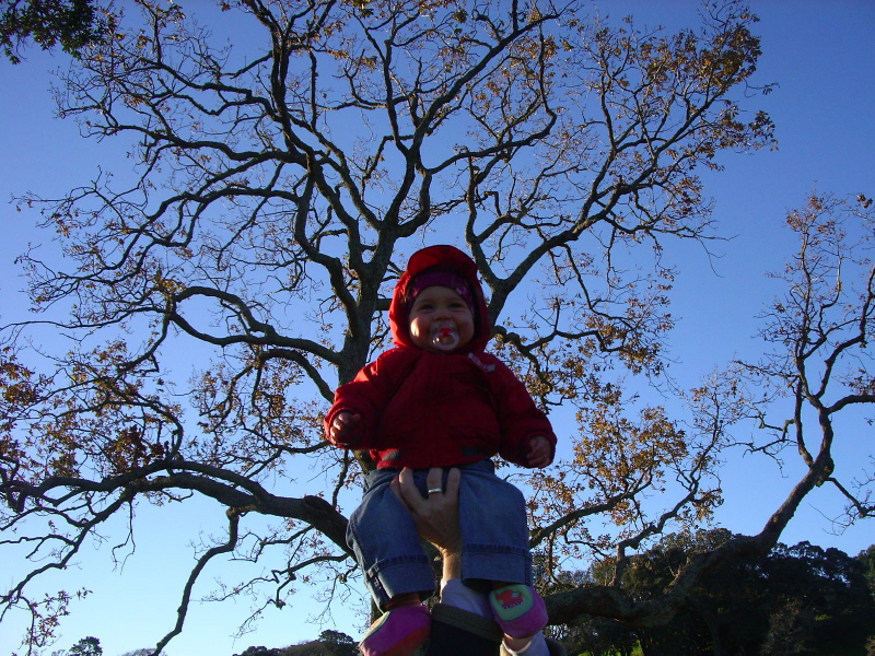 Cornwall Park 