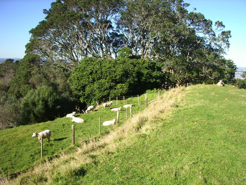 Cornwell Park 