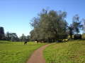 Cornwell Park 