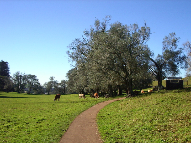 Cornwell Park 