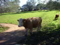 Cornwell Park 