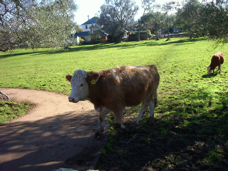 Cornwell Park 