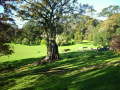 Cornwell Park 