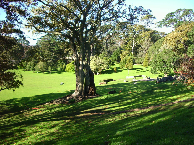 Cornwell Park 