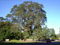 Cornwell Park 