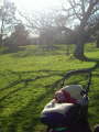 Cornwall Park