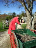 Historical Village-Howick 