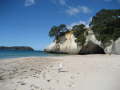 Cathedral Cove 