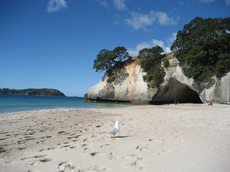 Cathedral Cove 