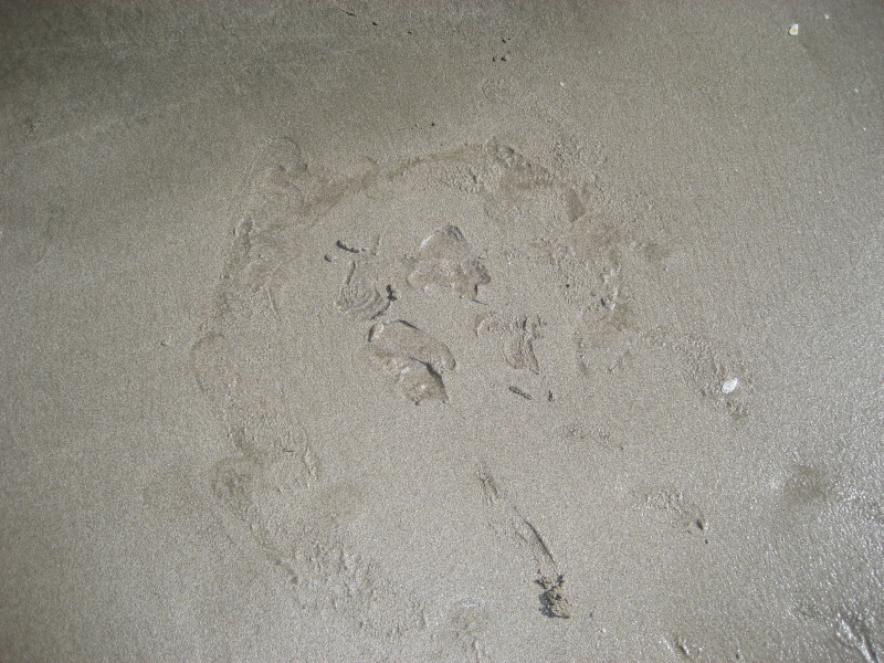 Begegnung: Sand&Meer