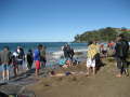 Hot Water Beach