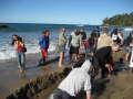 Hot Water Beach