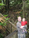 Begegnung. Kauri Baum