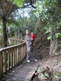 Begegnung:Kauri Baum