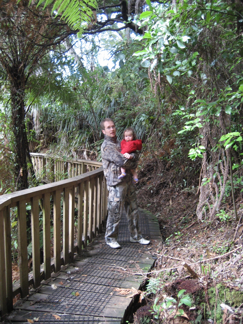 Begegnung:Kauri Baum