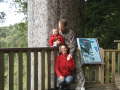 Begegnung. Kauri Baum