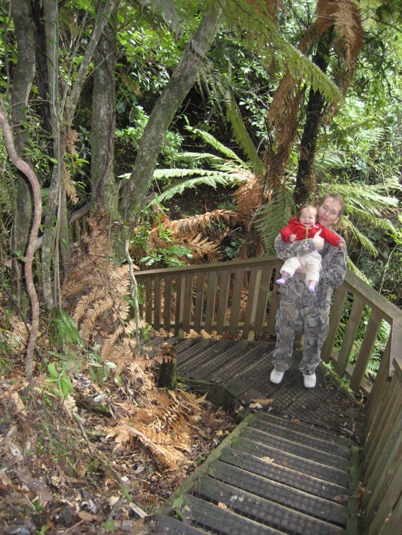 Begegnung. Kauri Baum