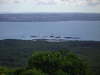 Ausflug zu Rangitoto Island