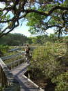 Ausflug zu Rangitoto Island