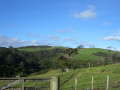 Muriwai Beach 