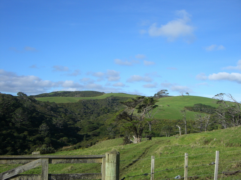 Muriwai Beach 