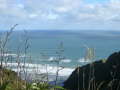 Muriwai Beach