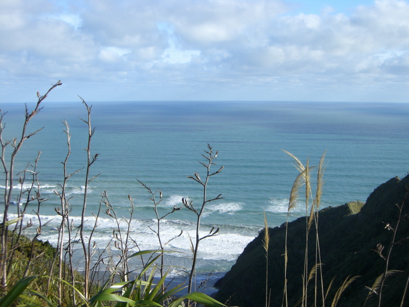 Muriwai Beach