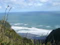 Muriwai Beach