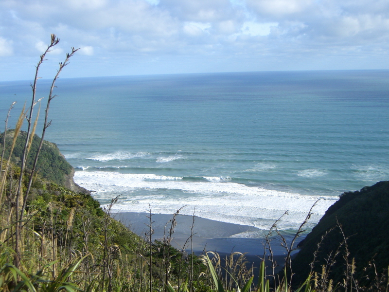 Muriwai Beach