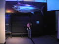 Museeum Auckland 004