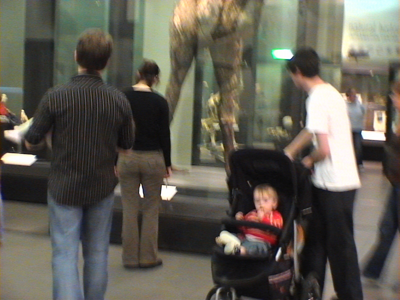 Museeum Auckland 007