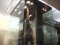 Museeum Auckland 009
