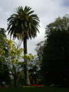 Der Albert Park