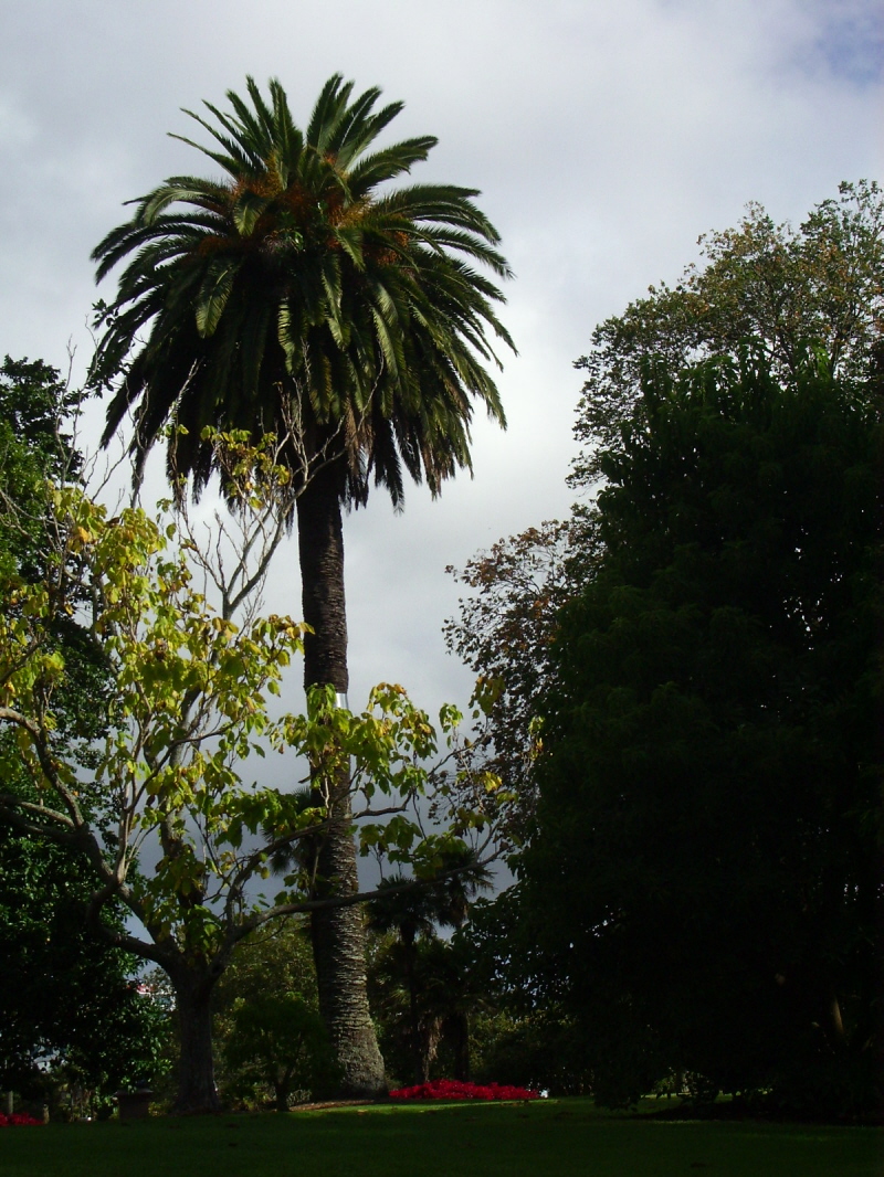 Der Albert Park