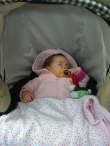 Vivien