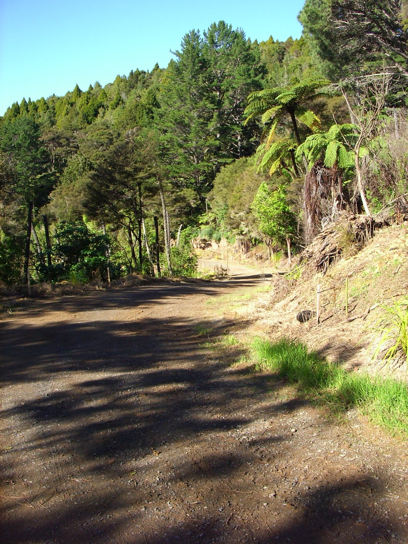 Whangarei