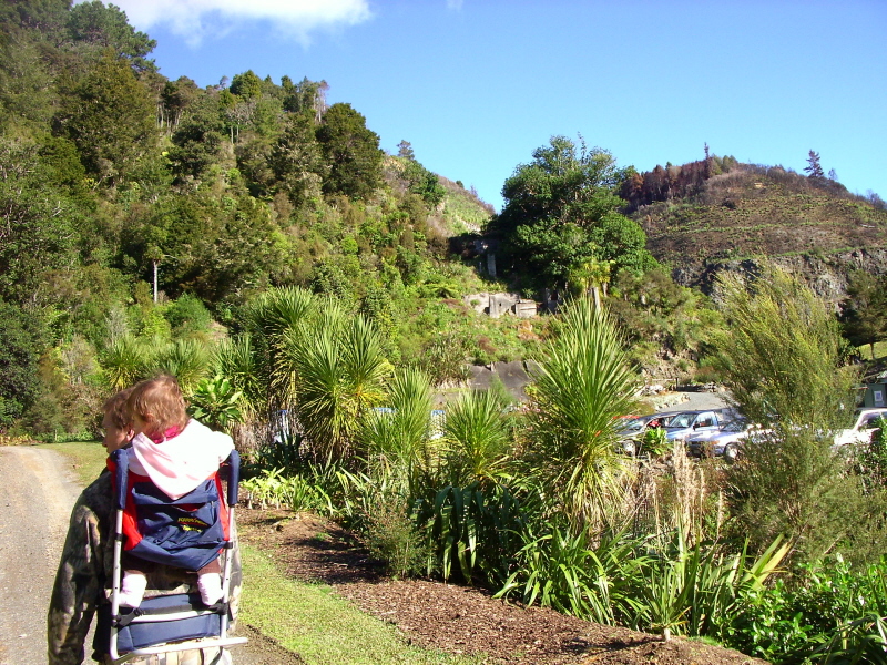 Whangarei